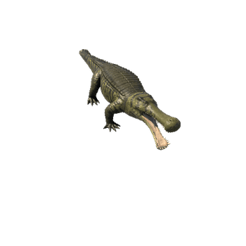 Sarcosuchus3 Variant